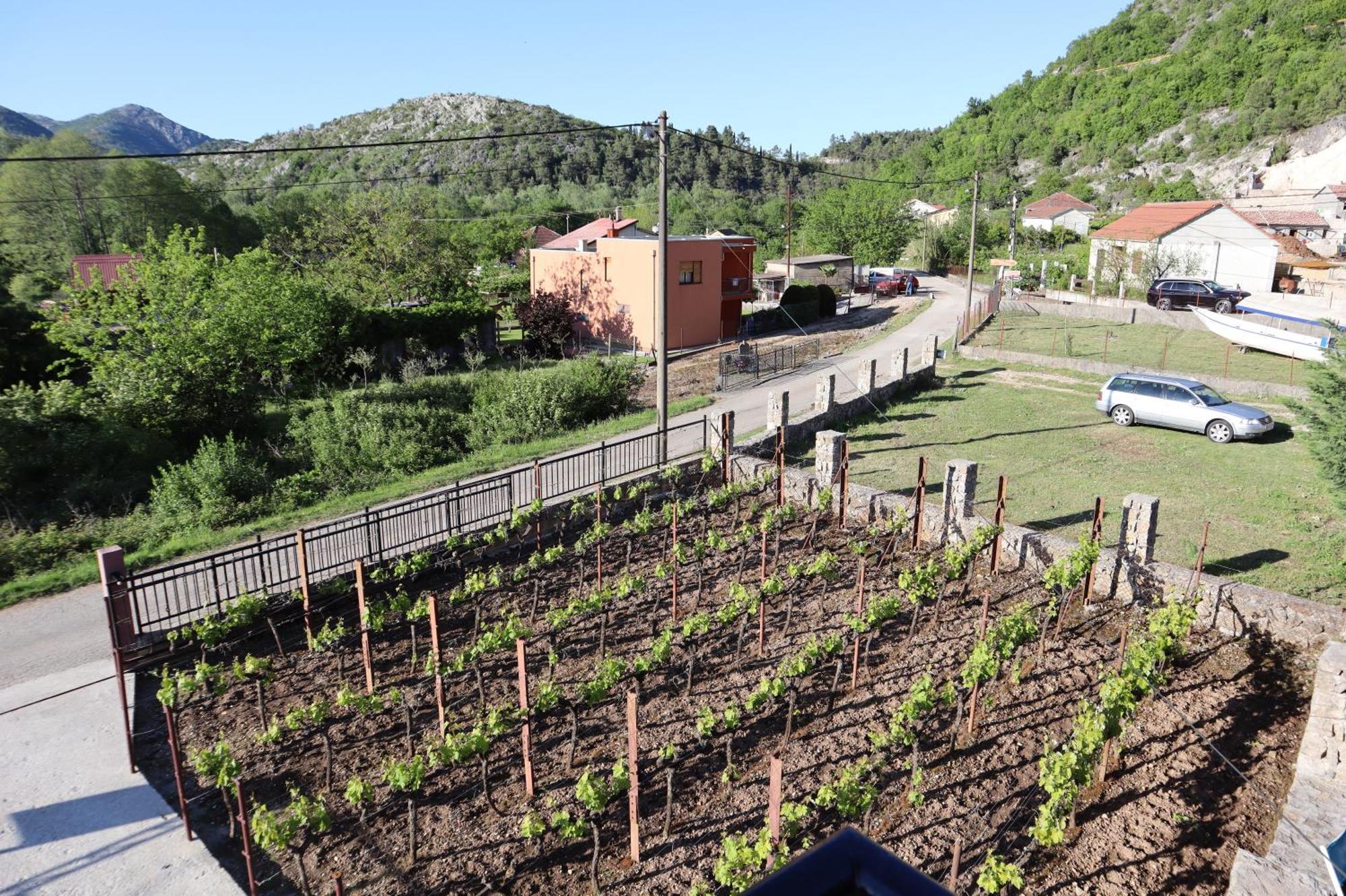 Green Field Apartments Virpazar Exterior foto